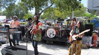 Trinity 7 Roots Reggae Jam