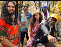  Roots Rockers