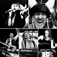 Viking Disco with Jen Ayers And The Perfect Storm