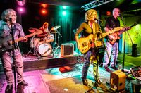 The McCallion Band at La Gitana Cantina & Cafe
