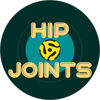 Hip Joints at South by Hudson Bend Music Festival 