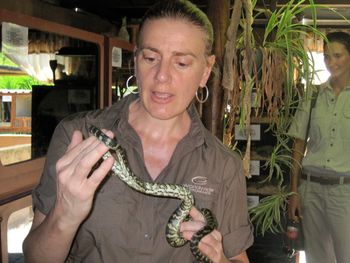 Reptile day...
