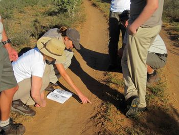 Learning tracking. Everything leaves a trail no matter how faint...
