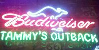 Tammy's Outback (Acoustic Performance)
