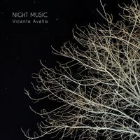 Night Music by Vicente Avella          