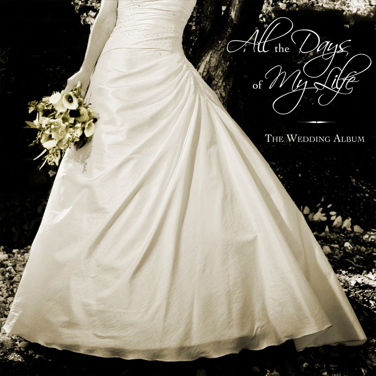 All the Days of My Life - CD
