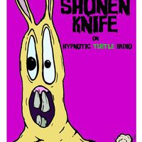 Episode #84: Goodbye, Mr. Ripps 10/16/2014 by Special Guest: Naoko Yamano (Shonen Knife)