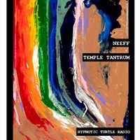 Webisode #10: Artist/DJ/Musician Founder of Temple Tantrum - NEEFF 9/1/2018 by Hypnotic Turtle