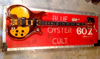Alembic Bass & Case
