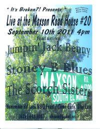 THE STONEY B BLUES BAND