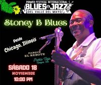 STONEY B BLUES