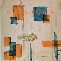 String Planes by Collin Sherman