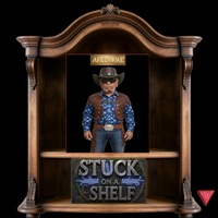 STUCK ON A SHELF by Ahlonnae