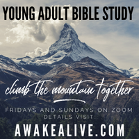 Awake and Alive Zoom Bible Study with Young Adults