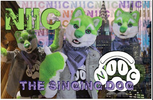 Poster: Not Enough NIIC 