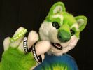 NIIC Wristband