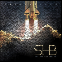 Defy Gravity  by Shayne Holland Band