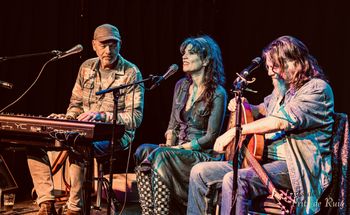 In the Woods, Leusden, November 9th. Photo by Frits de Ruig.
