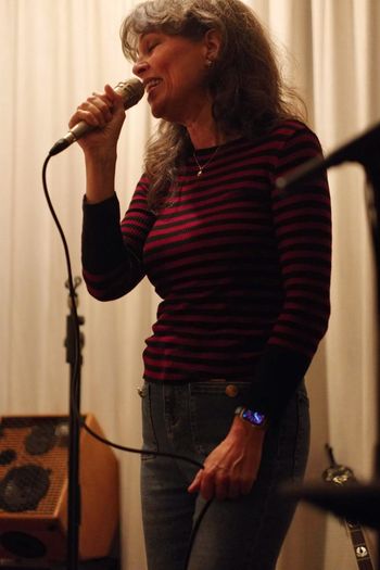 House concert with Susan Gibson, Nuenen. February 4. Photo by Ronald Rietman.
