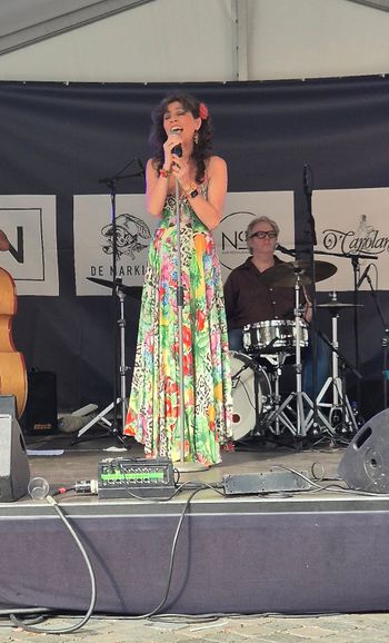 BoZ Jazz, Bergen op Zoom. June 14th. Photo by Annie Suijkerbuijk.
