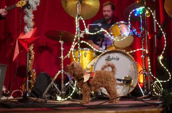 Christmas with Tip Jar, De Rozenknop, Eindhoven, December 14th. Photo Ronald Rietman.
