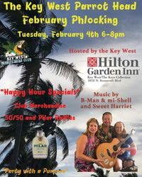 Key West Parrot Head Phlocking