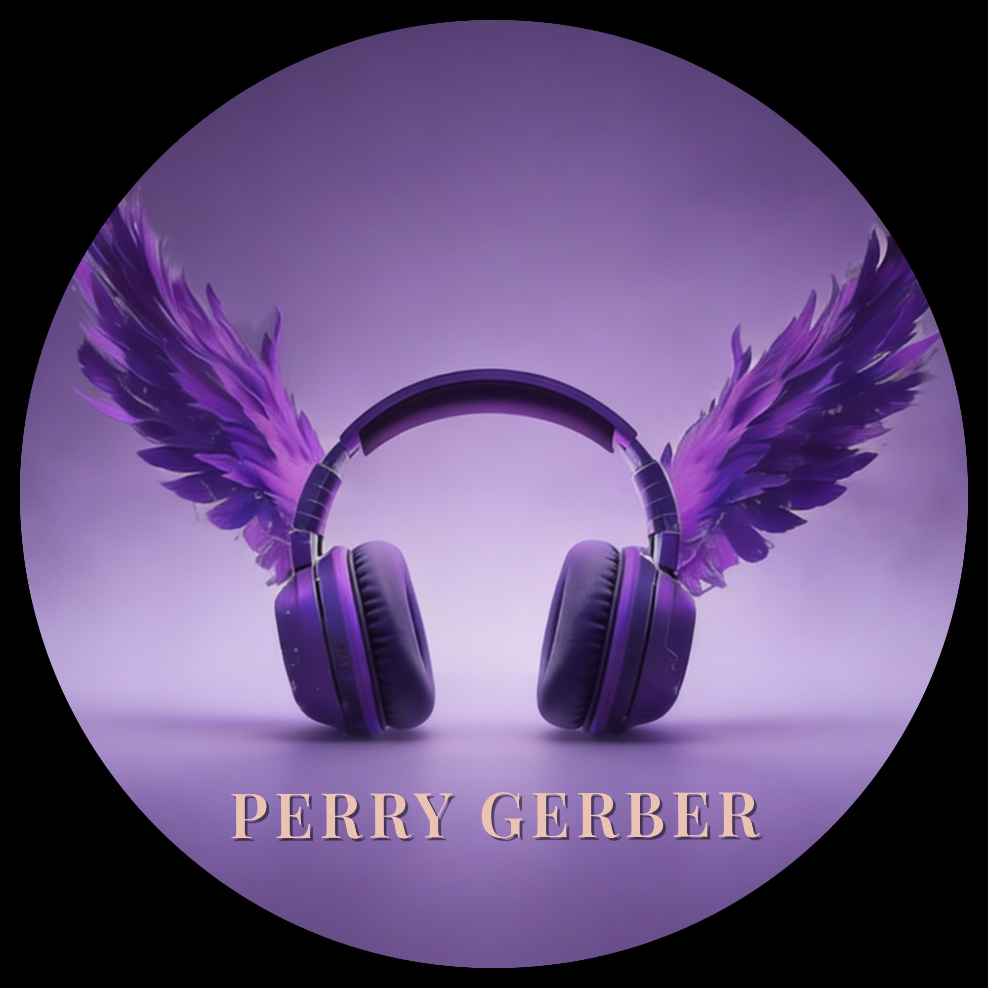 The Perry Gerber Band
