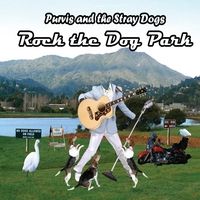 Rock the Dog Park by Purvis and the Stray Dogs