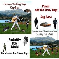 Dog Gone / Rockabilly Role Model by Purvis and the Stray Dogs