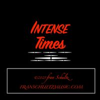 Intense Times by Fran Schultz