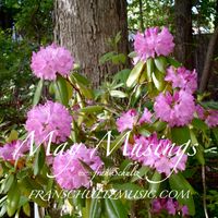 May Musings by Fran Schultz