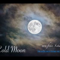 Cold Moon by Fran Schultz