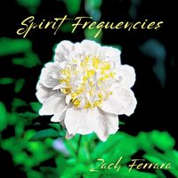 Spirit Frequencies by Zach Ferrara