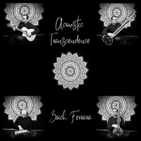 Acoustic Transcendence by Zach Ferrara
