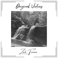 Original Virtues by Zach Ferrara
