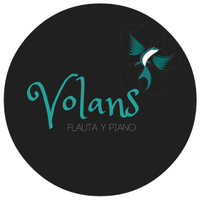 Volans en concierto