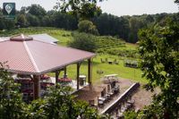 Live at The Vines--One Man Banjo!