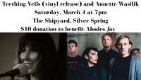 Teething Veils Vinyl Release w/Annette Wasilik