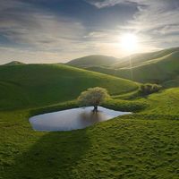 Talk Like Angels by -jom-
