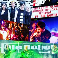 The Bummer of Love Festival