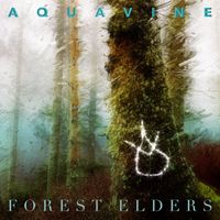 Forest Elders by AQUAvine