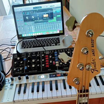 Jazz bass. I hope you like our new direction etc. Photo by Mark Gatland.
