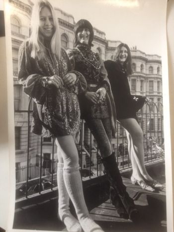 Sunforest on balcony, Powis Terrace, Notting Hill Gate, London
