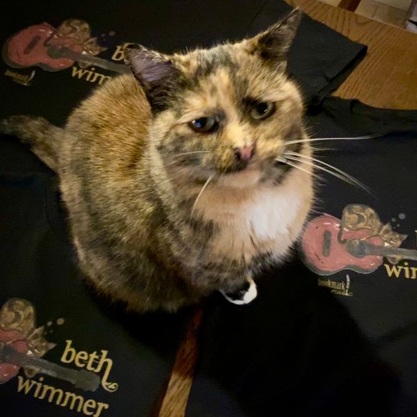 Beth Wimmer 'Sienna' cat T-shirt