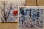 2 CDs - Folk Radio Singles