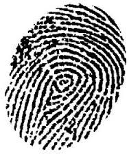 Finger Print

