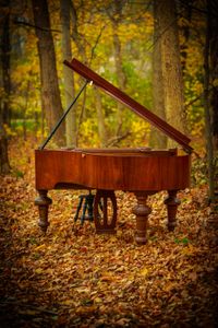 Barbara Graff and The Piano Chicks(® 