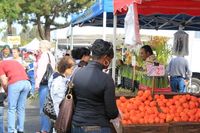 Hayward Farmers Market