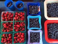 San Carlos Farmers Market