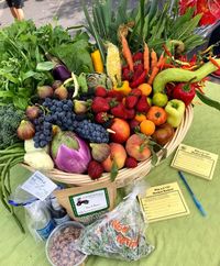 Oakridge Mall Farmers Market
